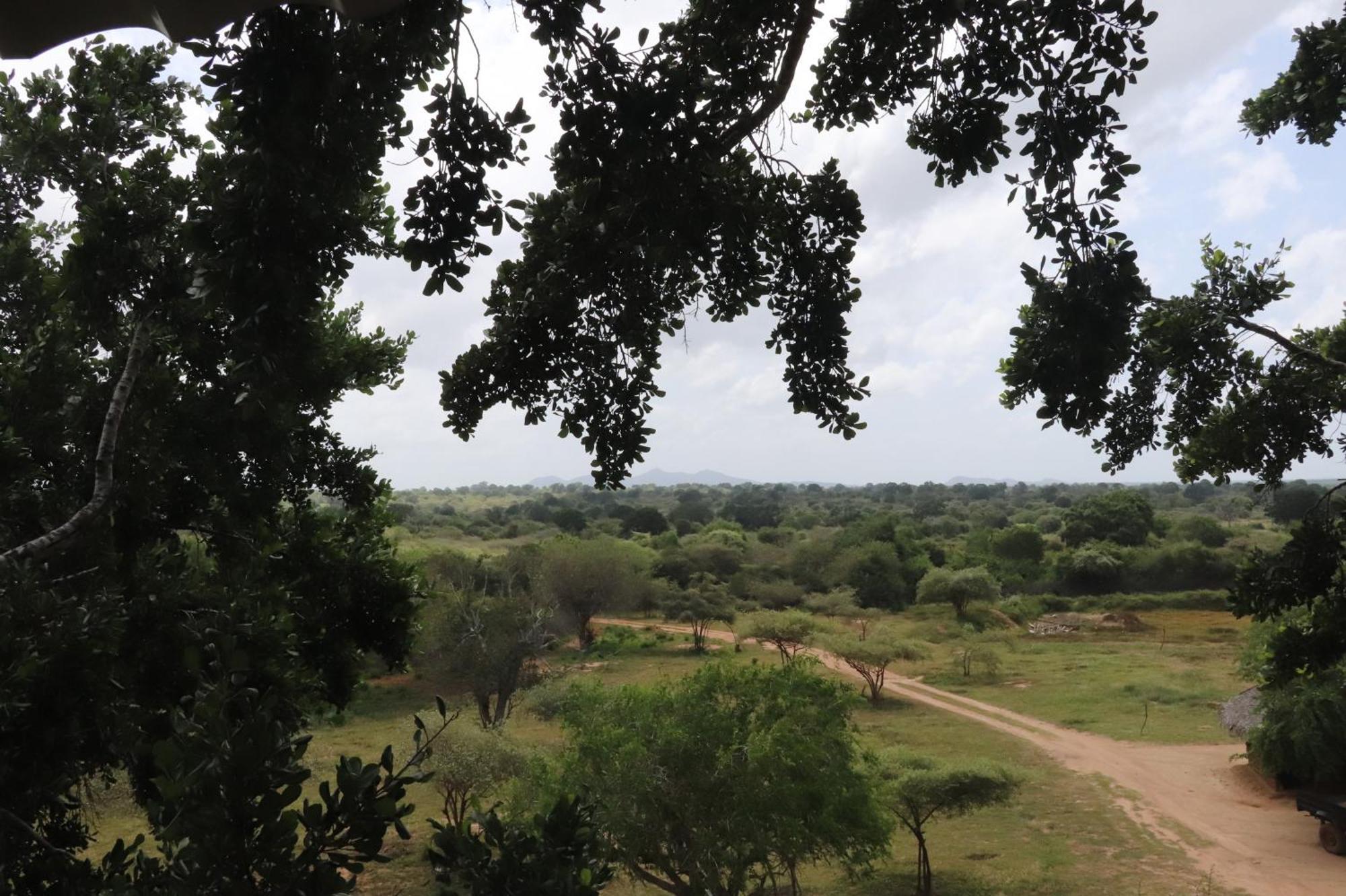Yala Dream Park Hotel ภายนอก รูปภาพ