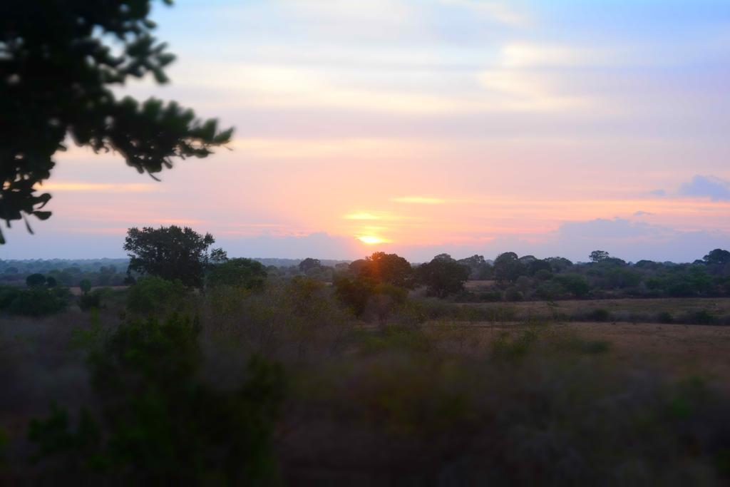 Yala Dream Park Hotel ภายนอก รูปภาพ